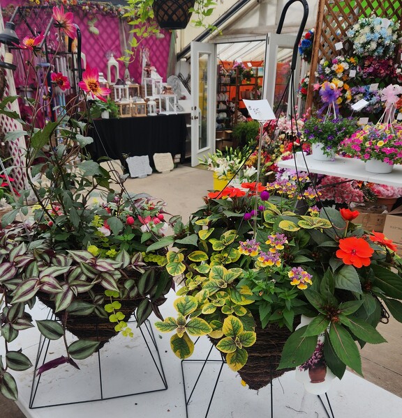 Patio Planter from Baker Florist in Dover, OH